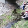 A fenntartható jövőért 2019