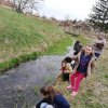 A fenntartható jövőért 2019