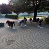 Fenntarthatósági Témahét 2020