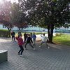 Fenntarthatósági Témahét 2020