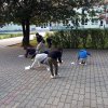 Fenntarthatósági Témahét 2020